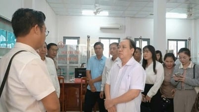 Digitalisierung: Sicherstellung der technologischen Konnektivität für den Betrieb der neuen Provinz An Giang