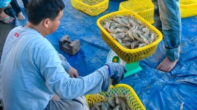경제적 관점: 성장과 불안