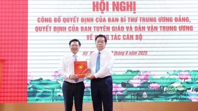 Công bố quyết định của Ban Bí thư về nhân sự Ban Tuyên giáo và Dân vận Trung ương