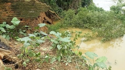 ヒエップホア：カウ川の左岸堤防で土砂崩れが続いており、一部世帯が緊急避難