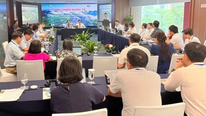 Hội thảo quốc tế tham vấn xây dựng hồ sơ đề cử Khu dự trữ sinh quyển thế giới Phong Nha-Kẻ Bàng