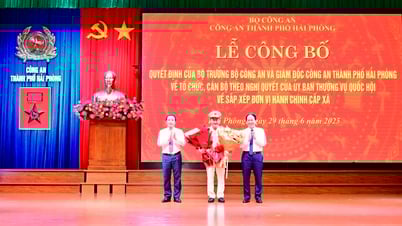 La police de la ville de Hai Phong a annoncé des décisions sur l'organisation et le personnel conformément à la résolution du Comité permanent de l'Assemblée nationale