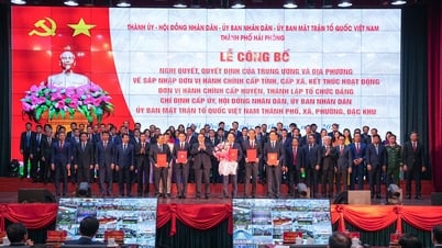 Công bố Nghị quyết, quyết định của Trung ương và địa phương về sáp nhập đơn vị hành chính cấp tỉnh