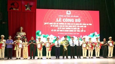 La police provinciale d'An Giang a annoncé la décision concernant l'organisation et le personnel.