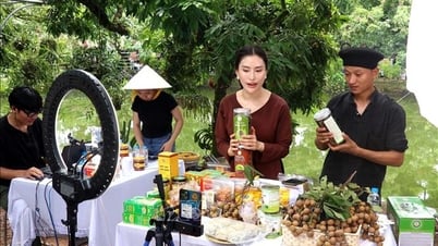 Chuyển đổi số: Mở rộng cánh cửa thị trường