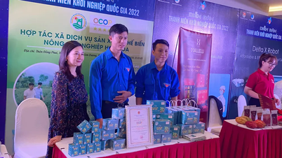 Quitting a well-paying job, a young man returned to his hometown to help dozens of farming households develop their economy.