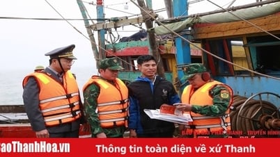 Siết chặt quản lý tàu cá, quyết tâm “gỡ thẻ vàng” IUU