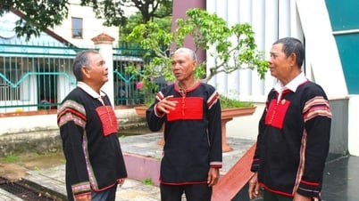 行政単位の統合：連帯、適応、革新