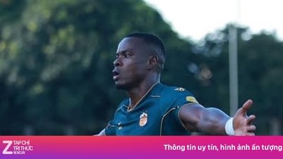 SLNA verhandelt mit Brandao und Gustavo Santos