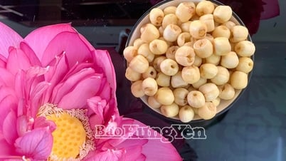 លើកកំពស់តម្លៃ និងម៉ាកយីហោ “ឈូកហុងយ៉េន”