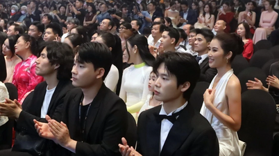 DANAFF III khích lệ tài năng mới của điện ảnh Việt Nam và châu Á-Thái Bình Dương