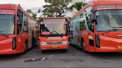 Ouverture de la ligne de bus Nha Trang - Phan Rang après la fusion des provinces de Khanh Hoa - Ninh Thuan