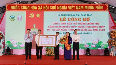 L'agriculture de Dong Thap connaît une croissance impressionnante et se transforme fortement
