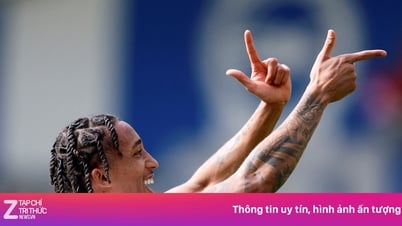 Brighton erhält 271 Millionen Pfund von Chelsea