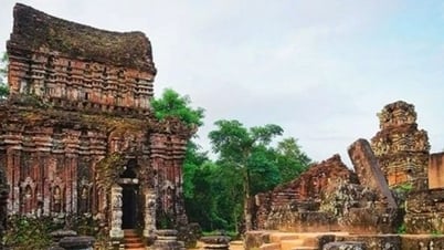 Le vice-Premier ministre demande un plan pour restaurer le complexe du temple de My Son