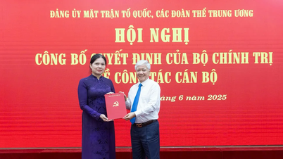 Đồng chí Hà Thị Nga được chỉ định tham gia Ban Chấp hành, Ban Thường vụ Đảng ủy MTTQ, các đoàn thể Trung ương