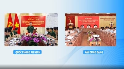 Nam Dinh's mark on the eve of the 14th Party Congress