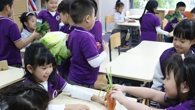학생들이 실험 대상이 될 때: 학교 웰빙 여정에 대한 전문가 관점