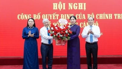 Политбюро назначает новых сотрудников в Постоянный комитет партийного комитета Вьетнамского Отечественного фронта и Центральные организации.