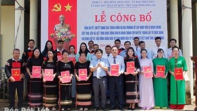 Niềm vui lan tỏa, kỳ vọng phát triển
