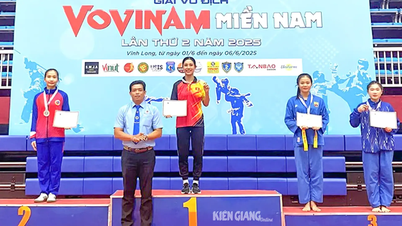 Kiên Giang đoạt 4 huy chương tại giải vô địch Vovinam miền Nam