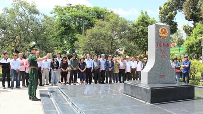 สมาชิกสมาคมนักข่าวจังหวัดด่งท้าปและเตี่ยนซางลงพื้นที่จัดทำรายงาน