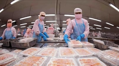 Se estima que en seis meses las exportaciones agrícolas, forestales y pesqueras aumentarán más del 14%.