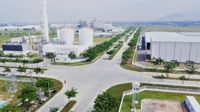 Avec l'infrastructure du parc industriel achevée, Ba Ria - Vung Tau attire de forts investissements