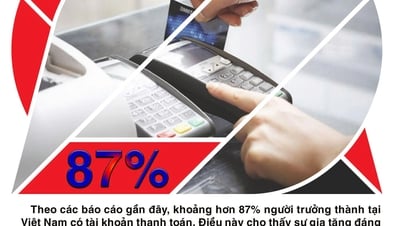 Более 87% взрослых вьетнамцев имеют платежный счет