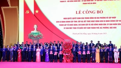 Lễ công bố nghị quyết thành lập TP. Đà Nẵng, chỉ định nhân sự chủ chốt