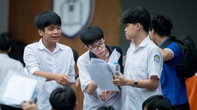 高校卒業試験の点数は10年間で変動があり、10点台が続いた。
