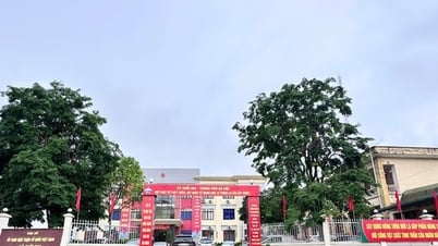 Công bố Quyết định thành lập xã Suối Hai và trao các quyết định về công tác cán bộ