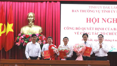 14 cán bộ chủ chốt ở Đắk Lắk nghỉ hưu trước tuổi