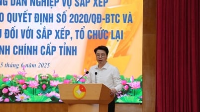 From July 1: State Treasury officially operates 2-level government model