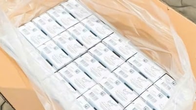 تم القبض على وضبط عدد من قضايا تهريب وتزوير السجائر بقيمة تجاوزت 65 مليار دونج