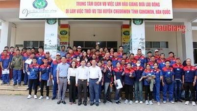 Gần 5 năm, toàn tỉnh đã đưa 2.450 lao động đi làm việc ở nước ngoài