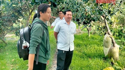 Phát triển vùng chuyên canh gắn với chuỗi giá trị nông sản chủ lực