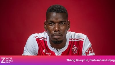 Pogba gây tranh cãi