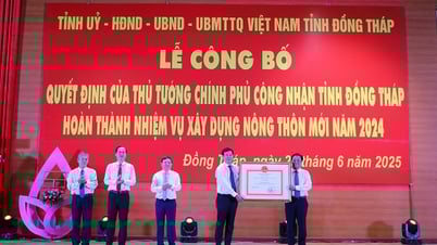 พิธีประกาศมตินายกรัฐมนตรีรับรองจังหวัดด่งท้าปสำเร็จภารกิจสร้างพื้นที่ชนบทใหม่