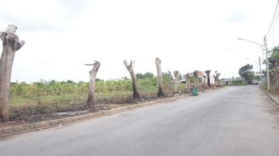 គម្រោងលំនៅឋានពីរឆ្នាំ
