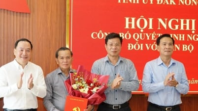 Chairman of the Dak Nong Provincial Party Committee's Inspection Commission Vo Dinh Tin retires early