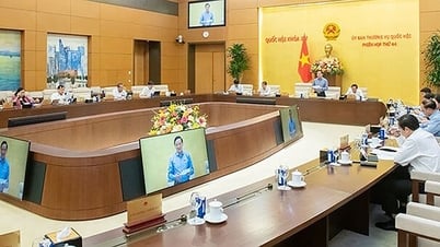 Thẩm quyền Tòa Phúc thẩm Tòa án nhân dân tối cao
