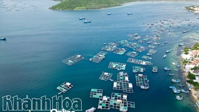 Thủ tướng Chính phủ chấp thuận chủ trương đầu tư 2 dự án khu đô thị hơn 65.308 tỷ đồng tại Khu Kinh tế Vân Phong