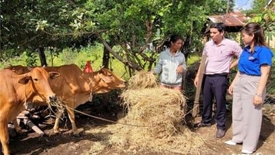 지역 예산에서 위탁자금 조달에 주의하세요