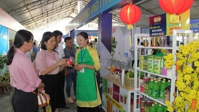 Enterprises - Cooperatives: 'Locomotives' connecting and elevating OCOP products