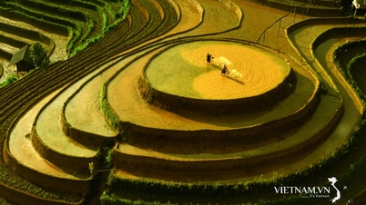 Promoting Heritage Values ​​– Golden Opportunity for Yen Bai Tourism to Breakthrough
