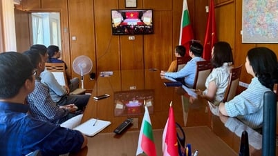 السفارات الفيتنامية في الدول تتابع الأخبار الخاصة والبرنامج التلفزيوني "إعادة ترتيب البلاد"