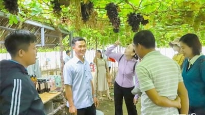 관광산업, 229만 명 이상의 방문객 맞이