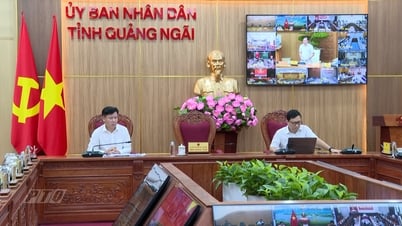 Information infrastructure system ready to operate 02-level local government