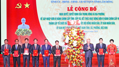 Création de la nouvelle province de Lam Dong, la plus grande du pays